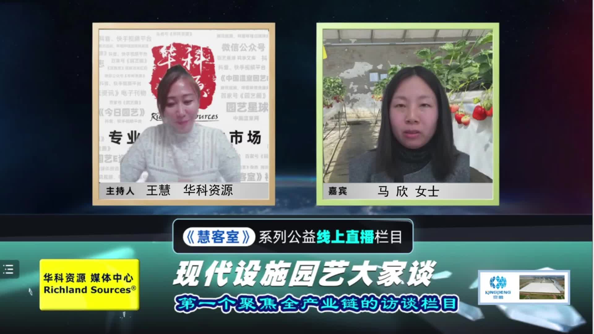 國產草莓品種-粉玉.mp4